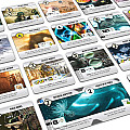 Roll for The Galaxy On demand, All Products image
