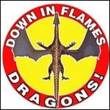 Down in Flames: Dragons