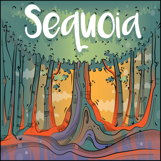 Sequoia image