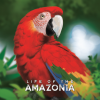 KS Life of the Amazonia-Jaguar Tier
