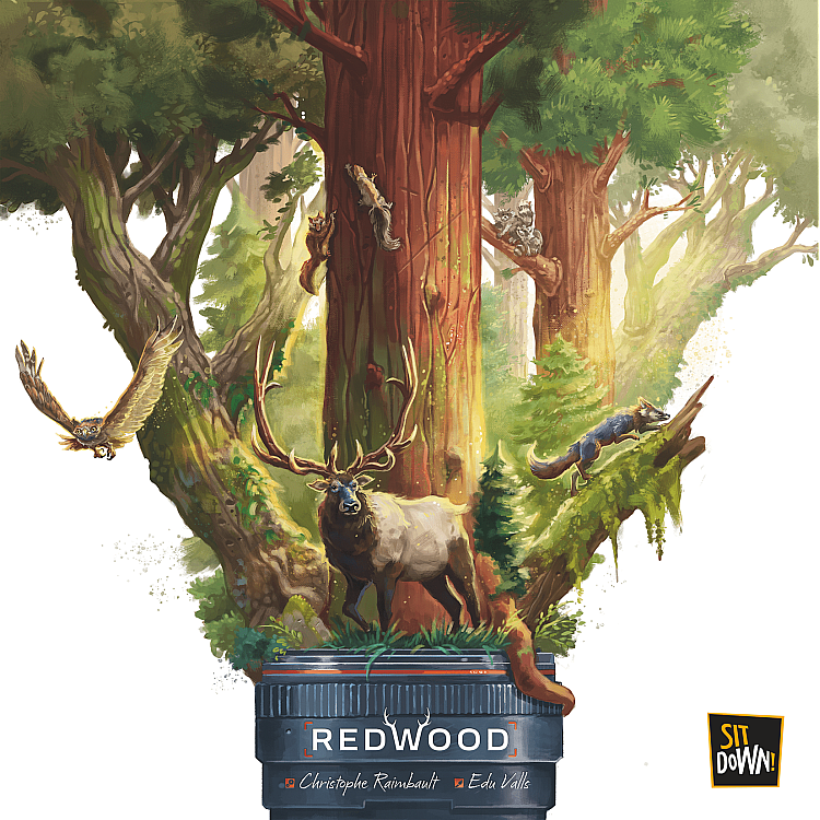 Redwood image