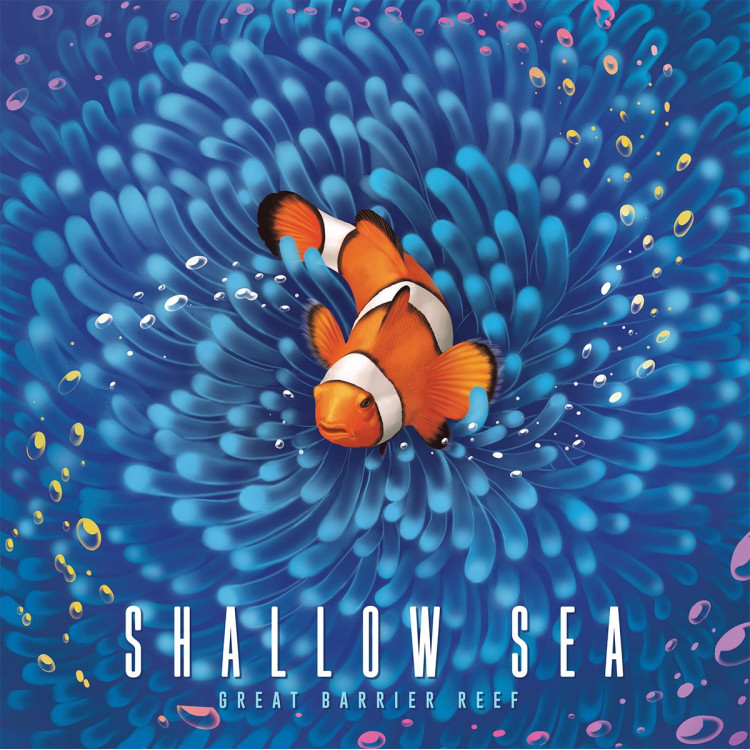 Shallow Sea image