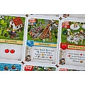 Empires of The North Roman Banners Imported Games, All Products image