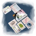Ohanami image